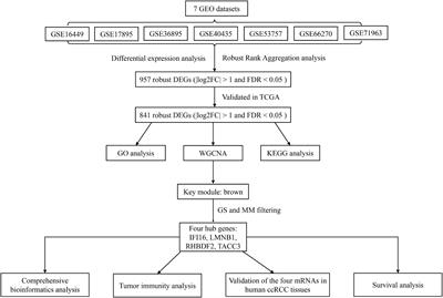 Functional Assessment of Four Novel Immune-Related Biomarkers in the Pathogenesis of Clear Cell Renal Cell Carcinoma